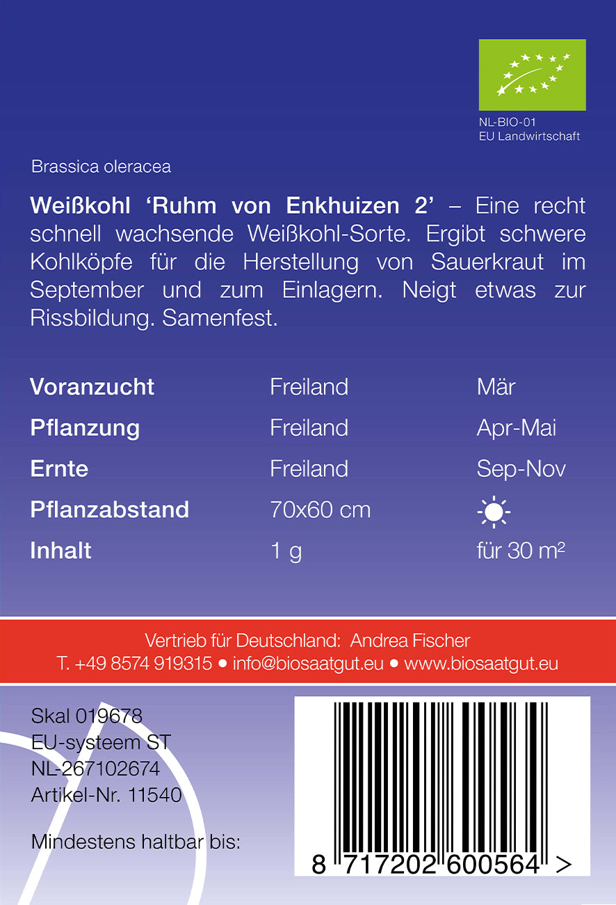Weißkohl Ruhm von Enkhuizen 2 | BIO Weißkohlsamen von De Bolster [MHD 12/2023]