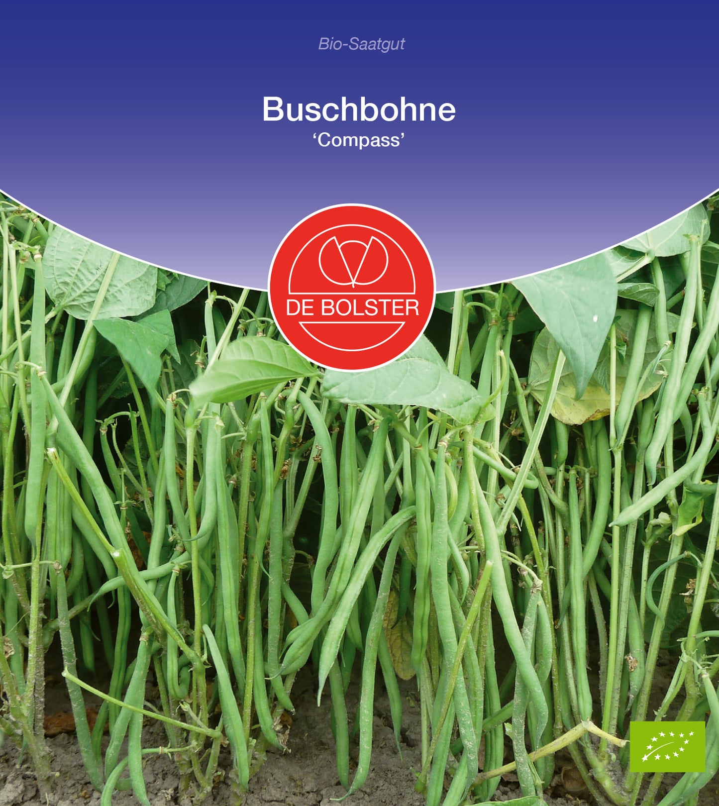 Buschbohne Compass | BIO Buschbohnensamen von De Bolster [MHD 12/2023]
