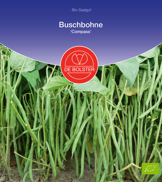 Buschbohne Compass | BIO Buschbohnensamen von De Bolster