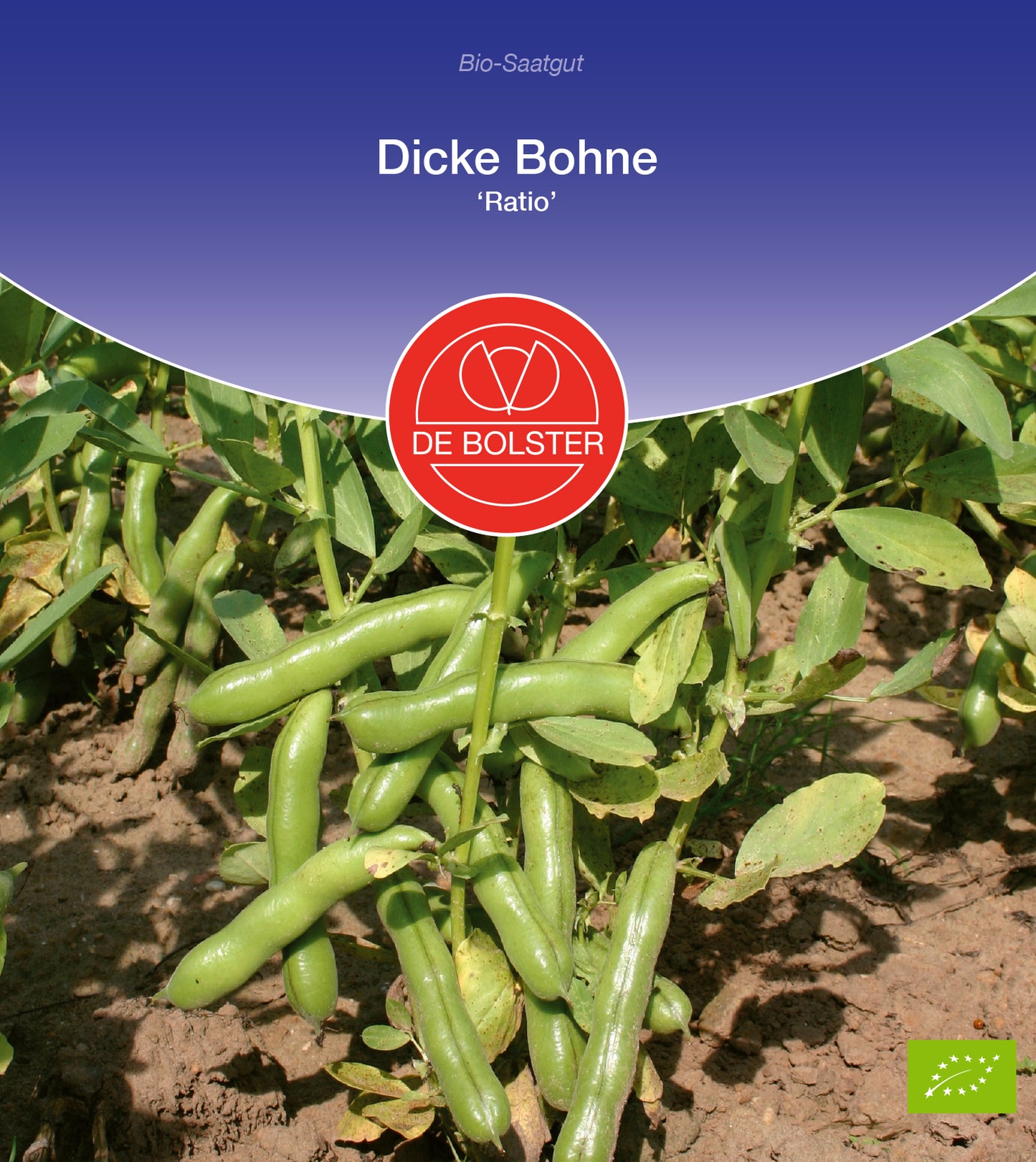 Dicke Bohne Ratio | BIO Bohnensamen von De Bolster