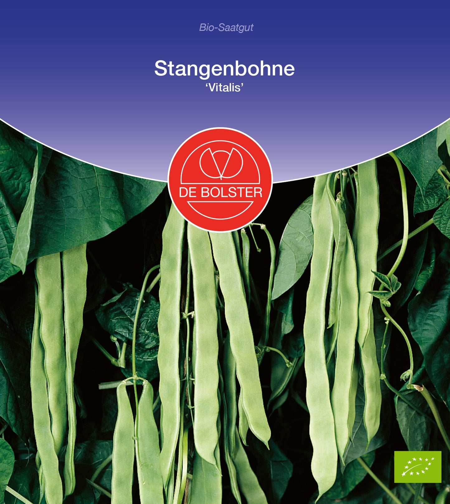 Stangenbohne Vitalis | BIO Stangenbohnensamen von De Bolster