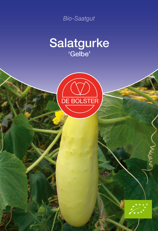 Salatgurke Gelbe | BIO Salatgurkensamen von De Bolster