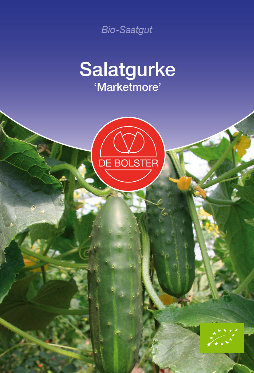 Salatgurke Marketmore | BIO Gurkensamen von De Bolster