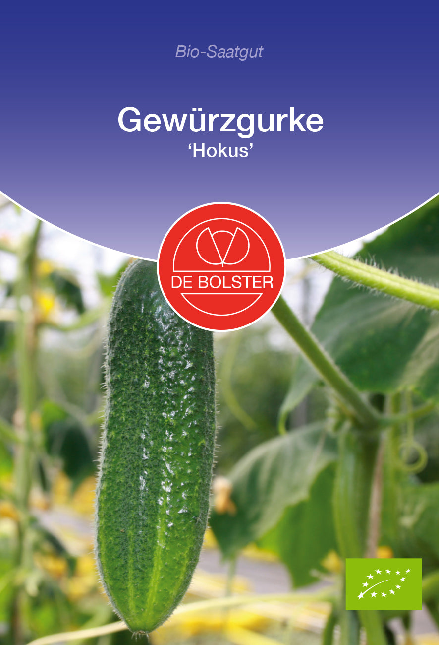 Gewürzgurke Hokus | BIO Landgurkensamen von De Bolster