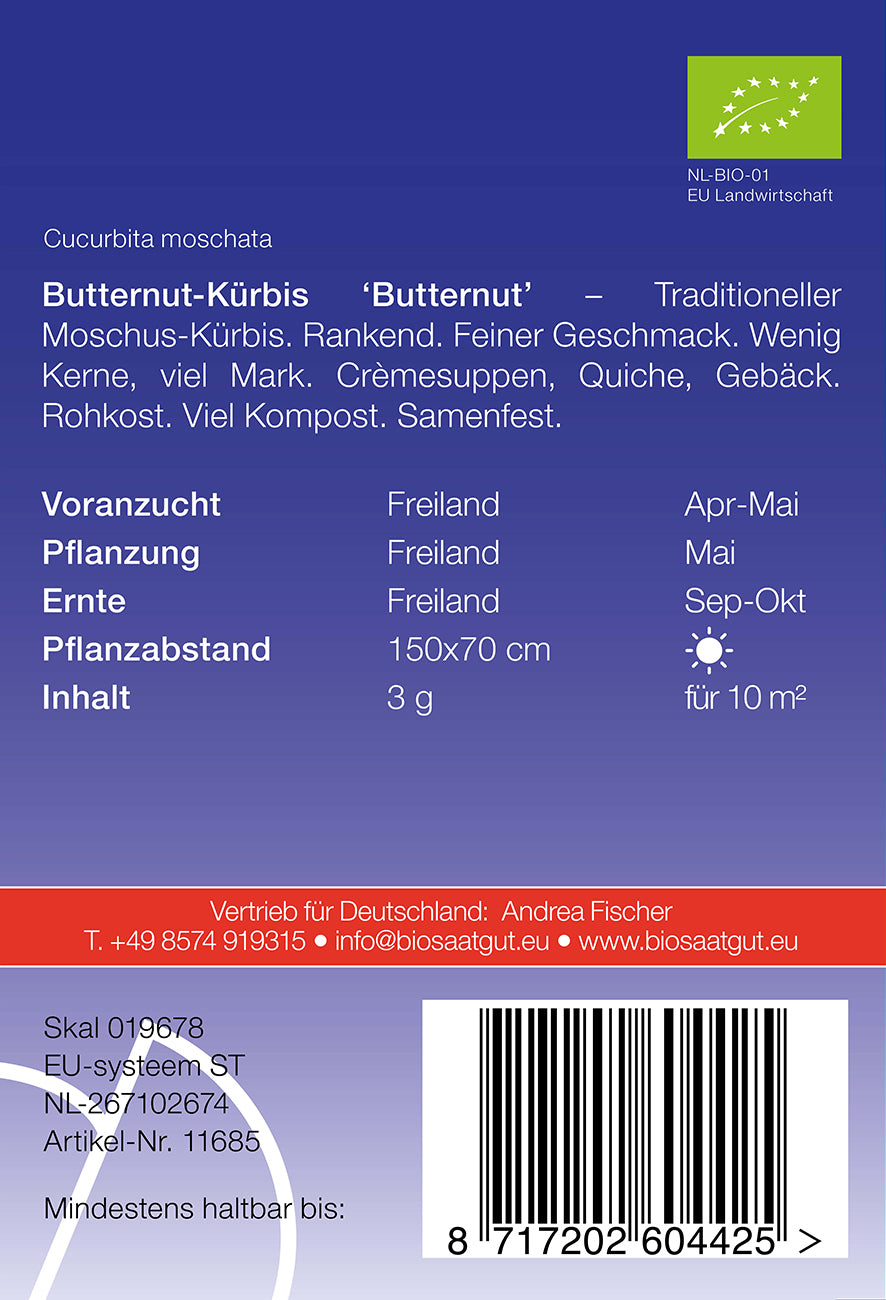 Butternut - Kürbis Butternut | BIO Butternutkürbissamen von De Bolster