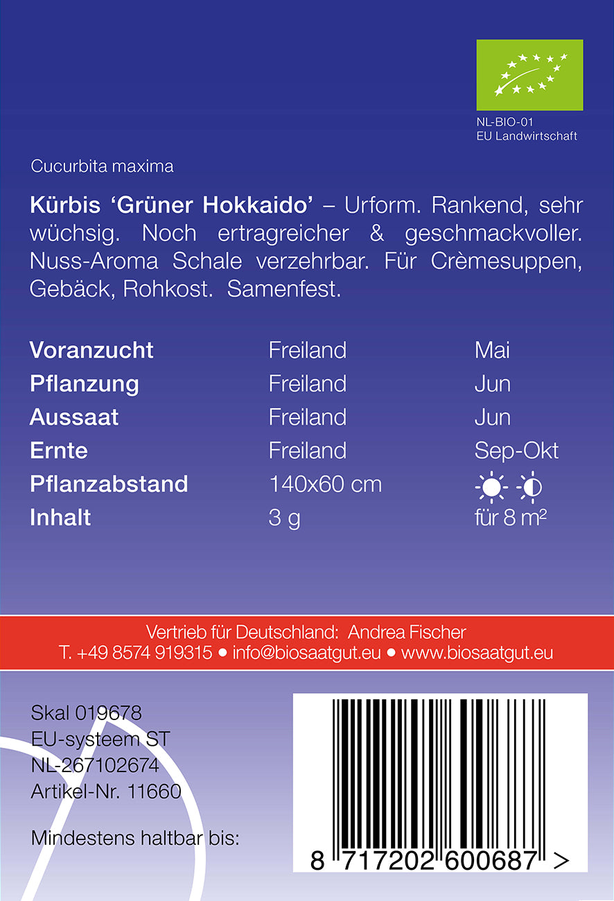 Kürbis Grüner Hokkaido | BIO Kürbissamen von De Bolster [MHD 12/2024]