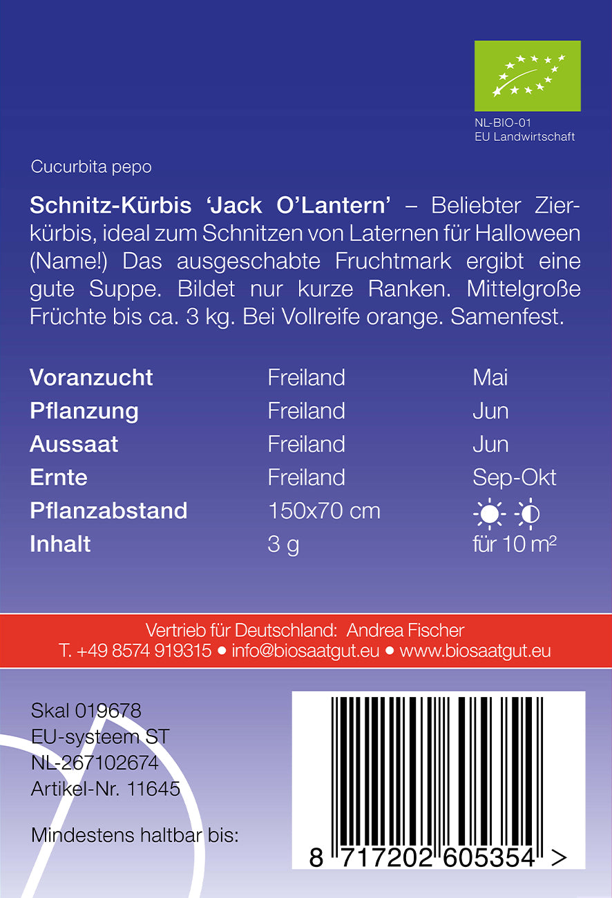 Schnitz - Kürbis Jack O'Lantern | BIO Kürbissamen von De Bolster