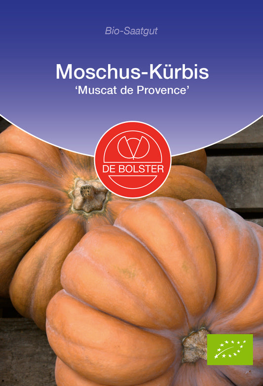 Moschus - Kürbis Muscat de Provence | BIO Kürbissamen von De Bolster