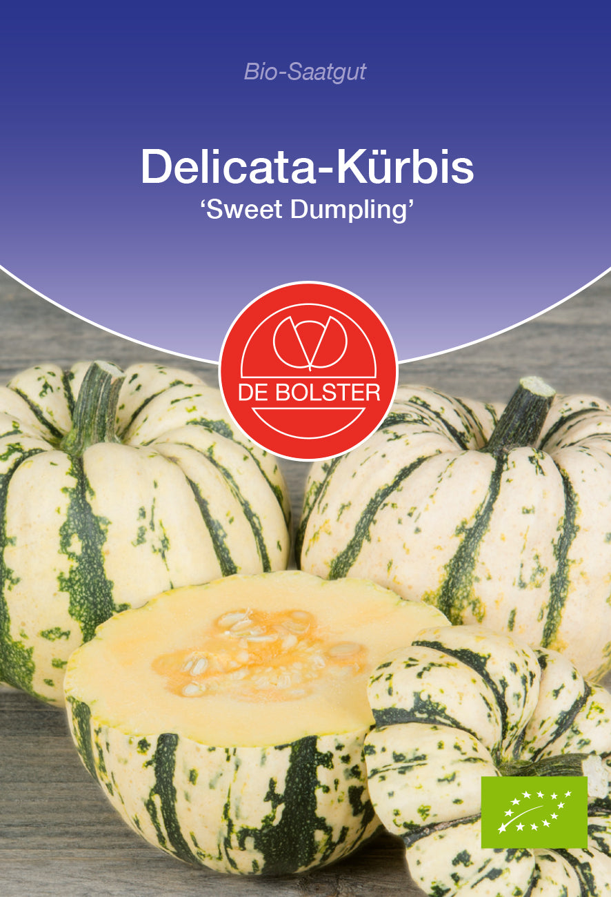 Delicata - Kürbis Sweet Dumpling | BIO Kürbissamen von De Bolster