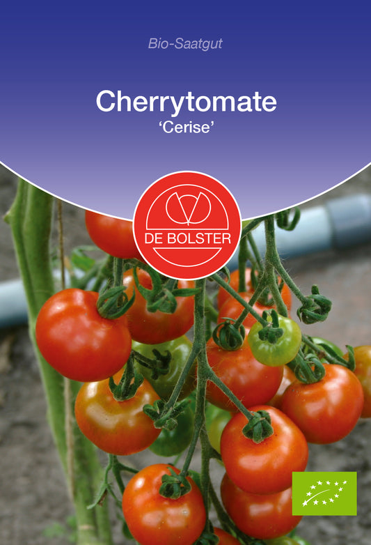 [STREICHUNG 2024] Cherrytomate Cerise | BIO Kirschtomatensamen von De Bolster