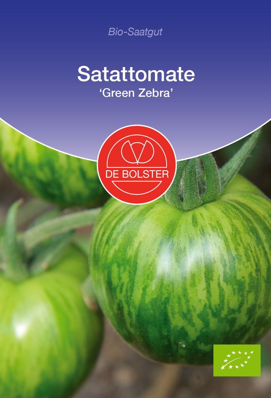 Salattomate Green Zebra | BIO Tomatensamen von De Bolster