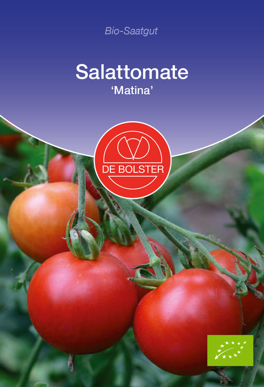 Salattomate Matina | BIO Tomatesamen von De Bolster