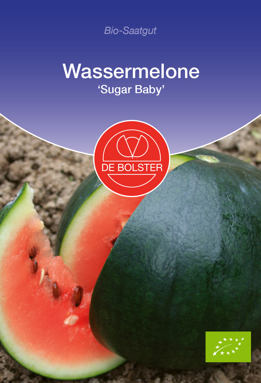 Wassermelone Sugar Baby | BIO Wassermelonensamen von De Bolster [MHD 12/2023]