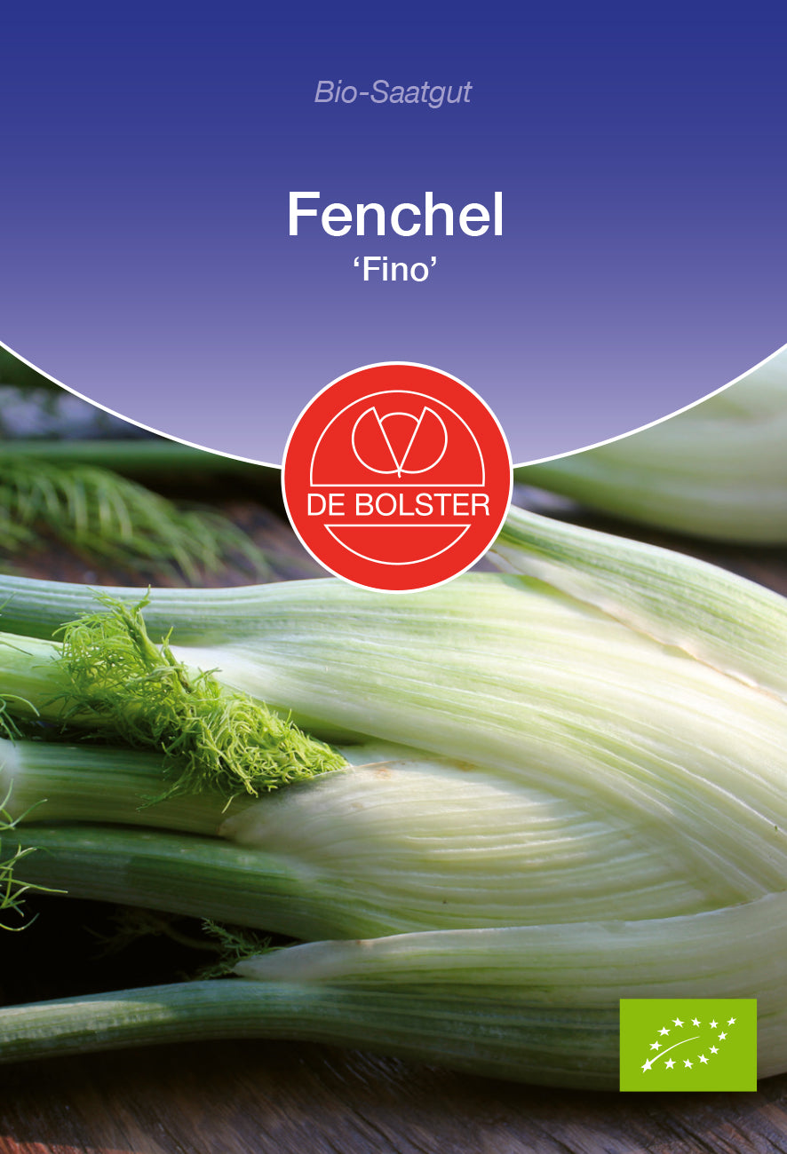 Fenchel Fino | BIO Fenchelsamen von De Bolster
