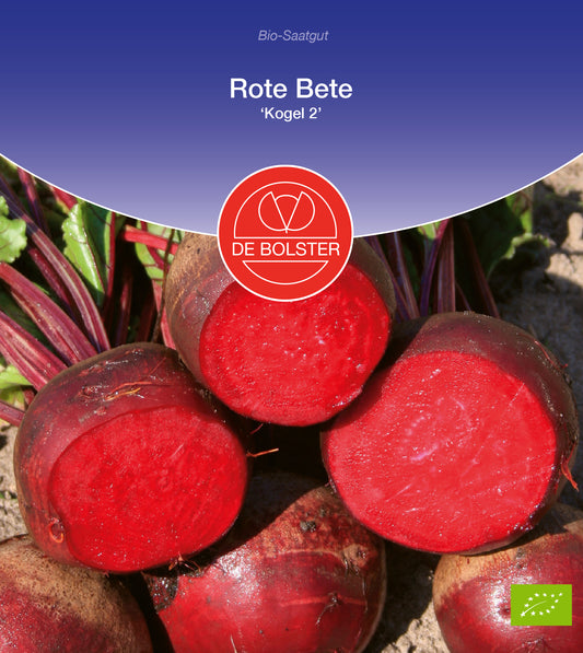 Rote Beete Kugel 2 | BIO Rote Beetesamen von De Bolster