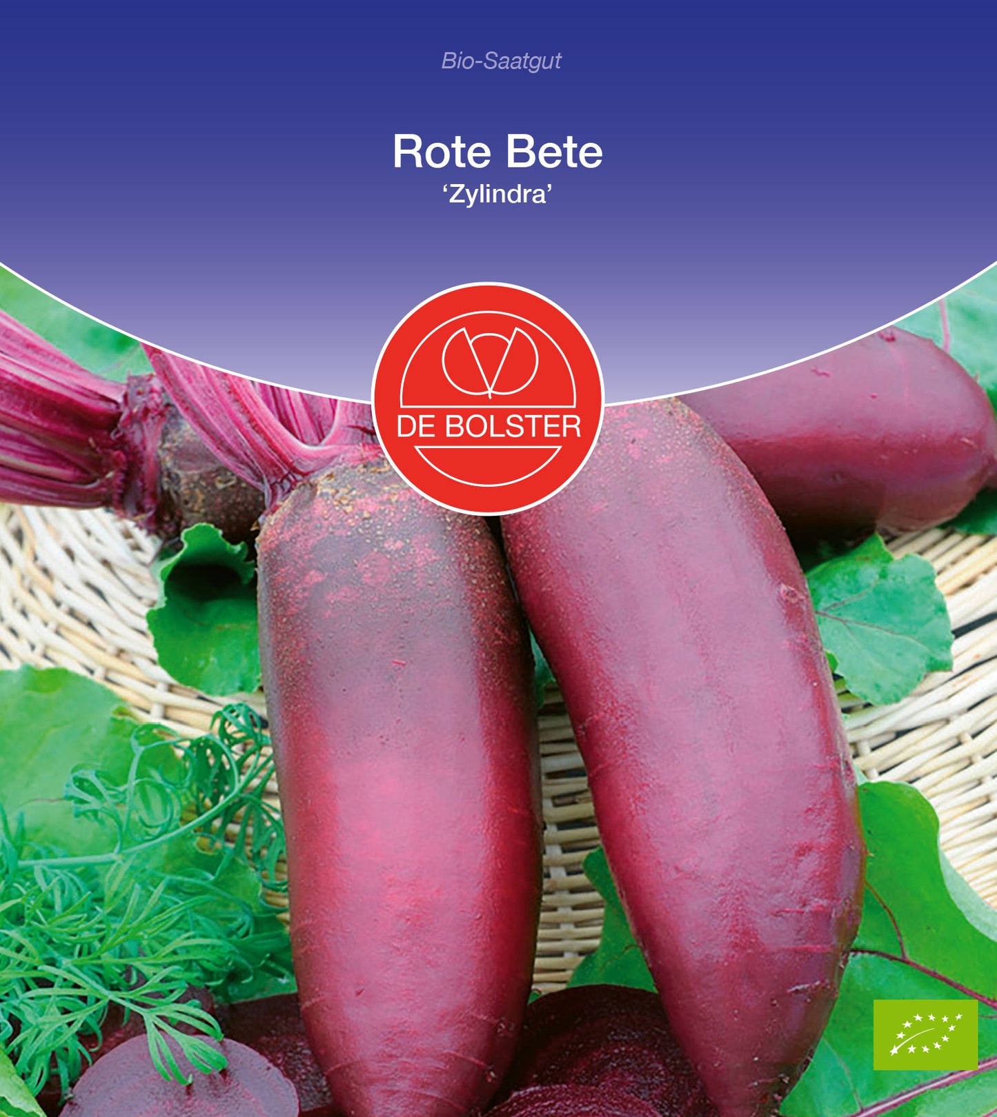 Rote Beete Zylindra| BIO Rote Beetesamen von De Bolster