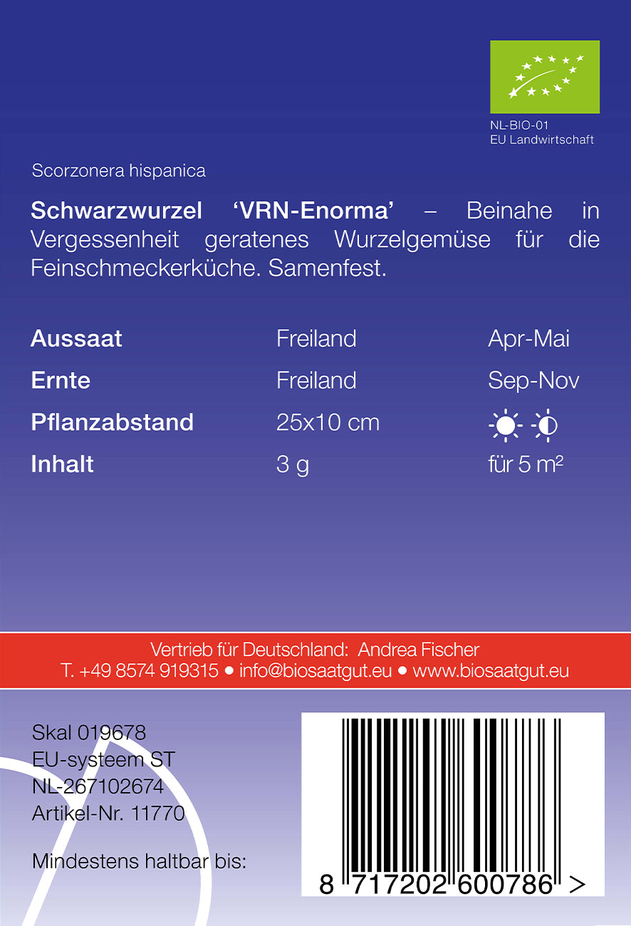 Schwarzwurzel VRN - Enorma | BIO Schwarzwurzelsamen von De Bolster