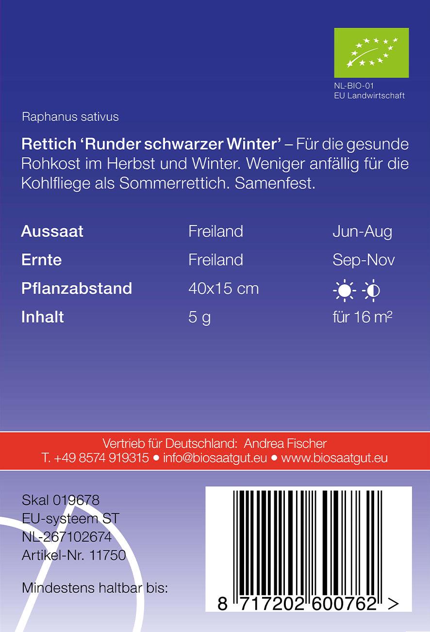 Rettich runder Schwarzer Winter | BIO Rettichsamen von De Bolster