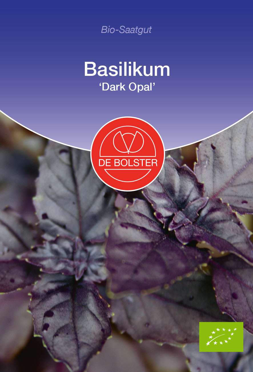 Basilikum Dark Opal | BIO Basilikumsamen von De Bolster