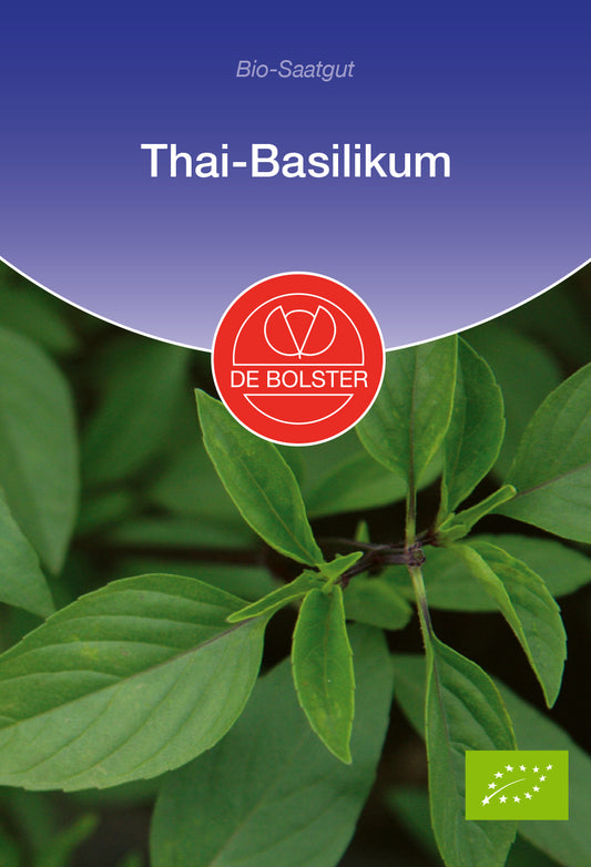 Thai-Basilikum | BIO Basilikumsamen von De Bolster