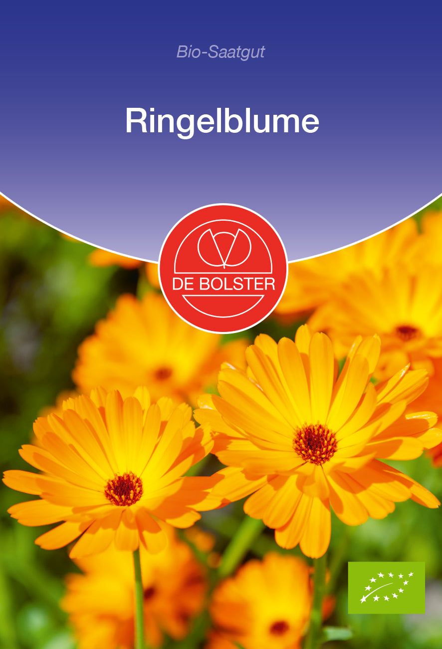 Ringelblume | BIO Ringelblumensamen von De Bolster [MHD 12/2023]