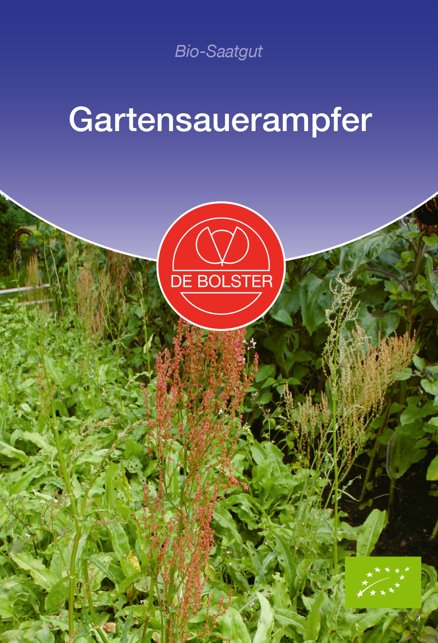 Gartensauerampfer | BIO Kräutersamen von De Bolster