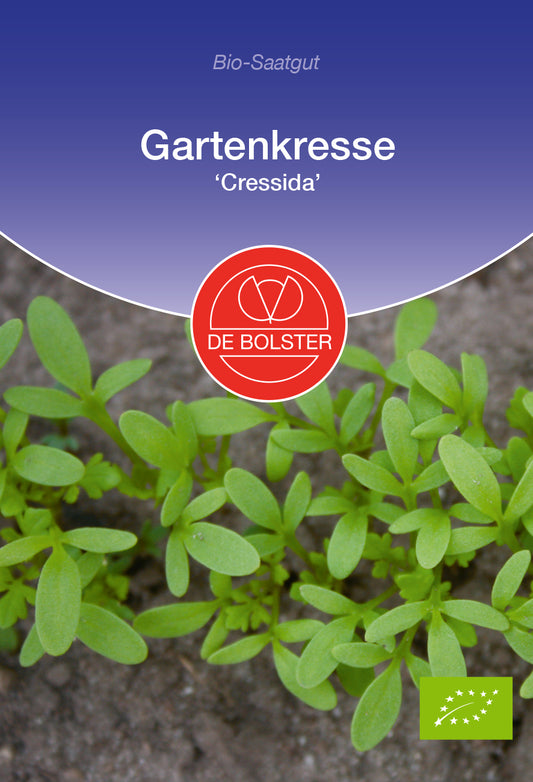 Gartenkresse Cressida | BIO Gartenkressesamen von De Bolster [MHD 12/2023]