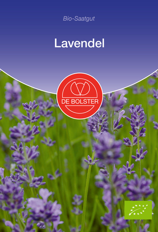 Lavendel | BIO Lavendelsamen von De Bolster