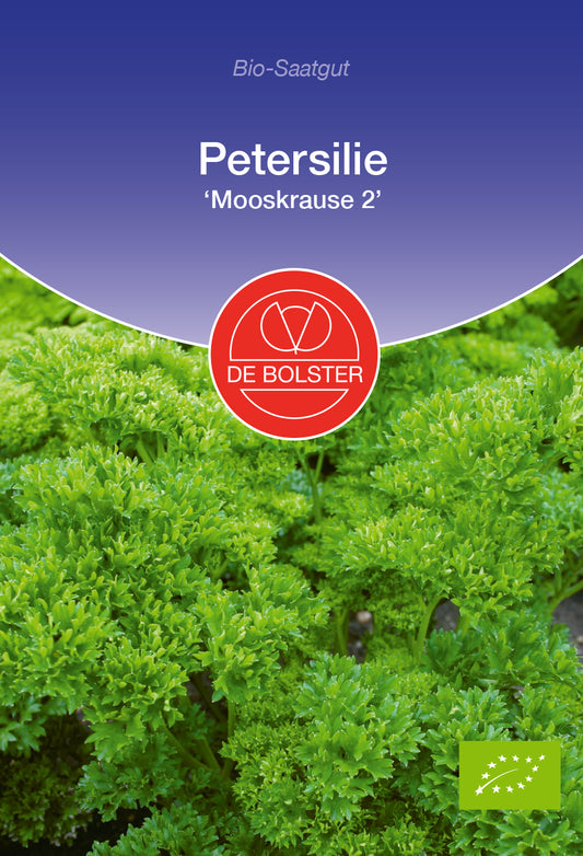 Petersilie Mooskrause 2 | BIO Petersiliensamen von De Bolster