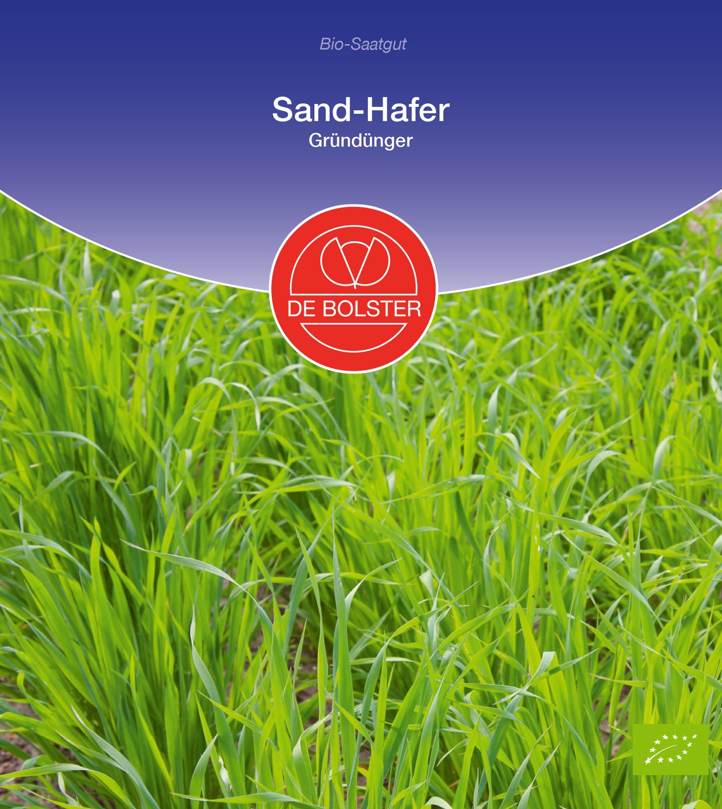 Sand - Hafer Gründünger | BIO Gründünger von De Bolster