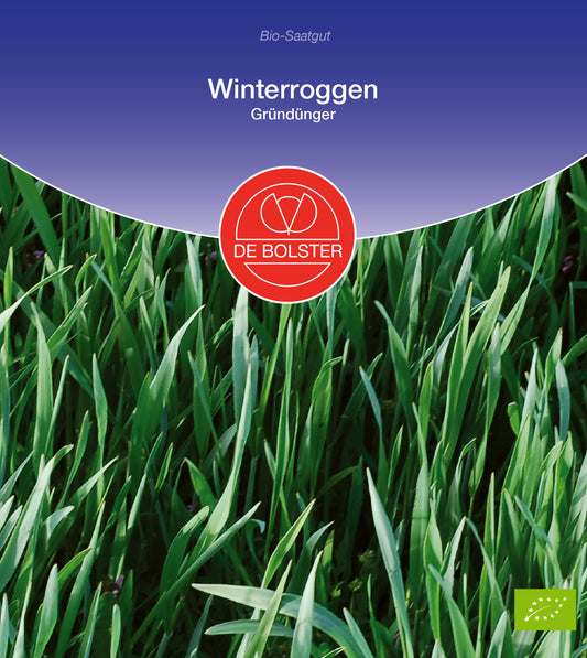 Winterroggen Gründünger | BIO Gründünger von De Bolster