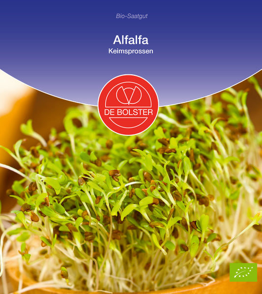 Alfalfa Keimsprossen | BIO Keimsprossen von De Bolster [MHD 12/2023]
