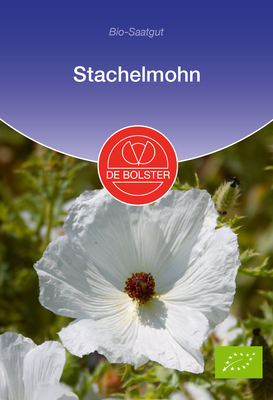 Stachelmohn | BIO Mohnsamen von De Bolster