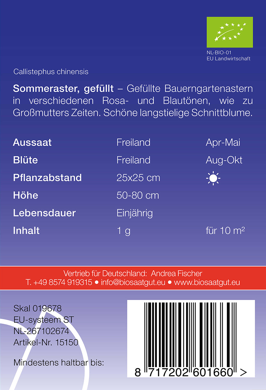 Sommeraster gefüllt | BIO Asternsamen von De Bolster [MHD 12/2023]