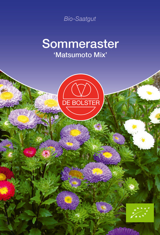 Sommeraster Matsumoto Mix | BIO Asternsamen von De Bolster
