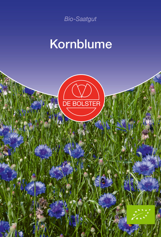 Kornblume | BIO Kornblumensamen von De Bolster