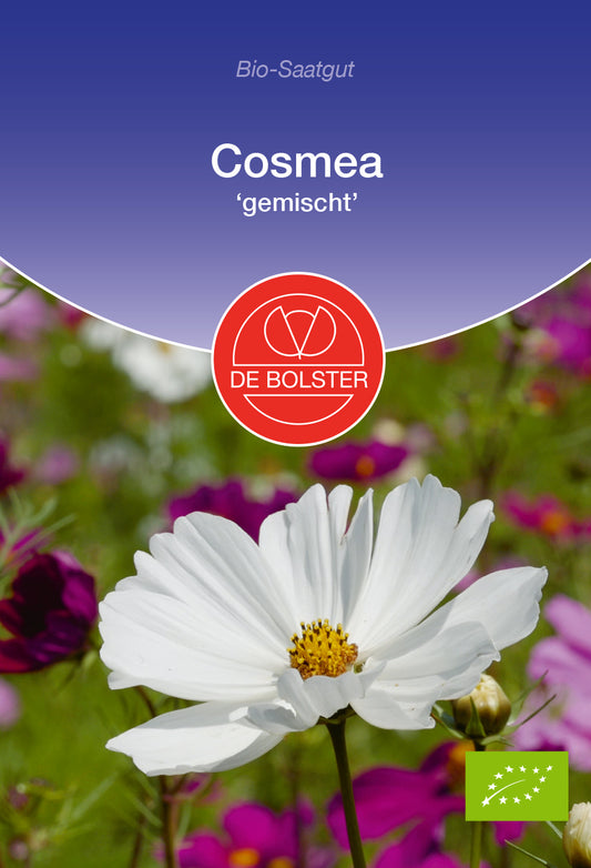 Cosmea gemischt | BIO Cosmeasamen von De Bolster