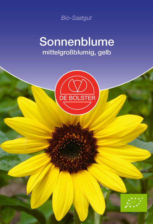 Sonnenblume mittelgroßblumig, gelb | BIO Sonnenblumensamen von De Bolster [MHD 12/2023]