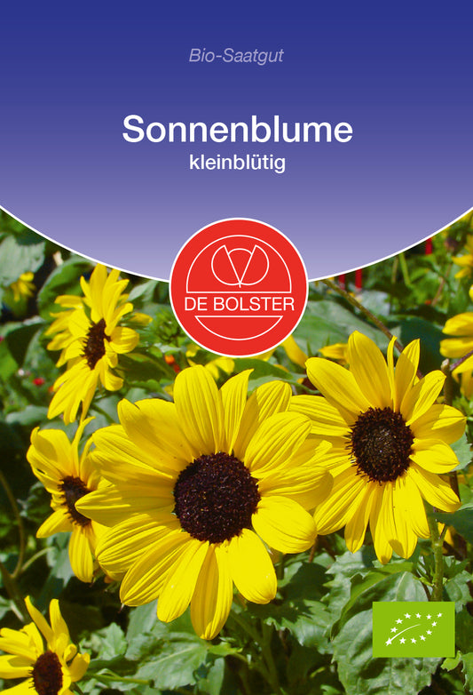 Sonnenblume kleinblütig | BIO Sonnenblumensamen von De Bolster