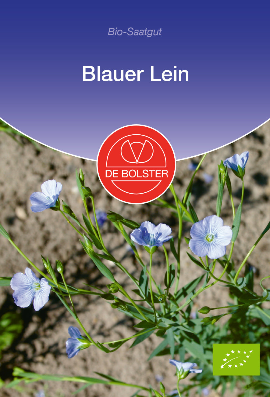 Blauer Lein | BIO Blumensamen von De Bolster