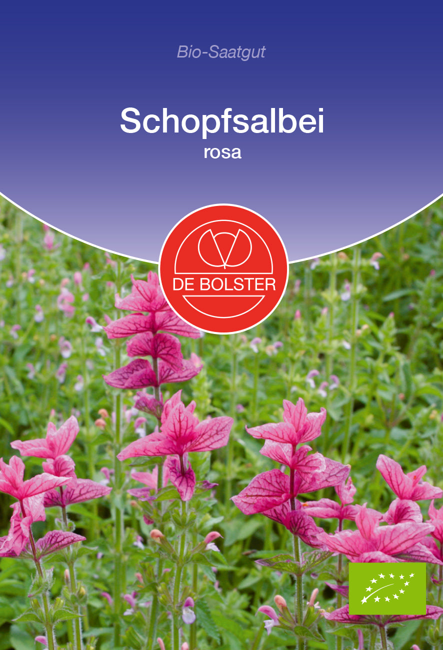 Schopfsalbei rosa | BIO Blumensamen von De Bolster