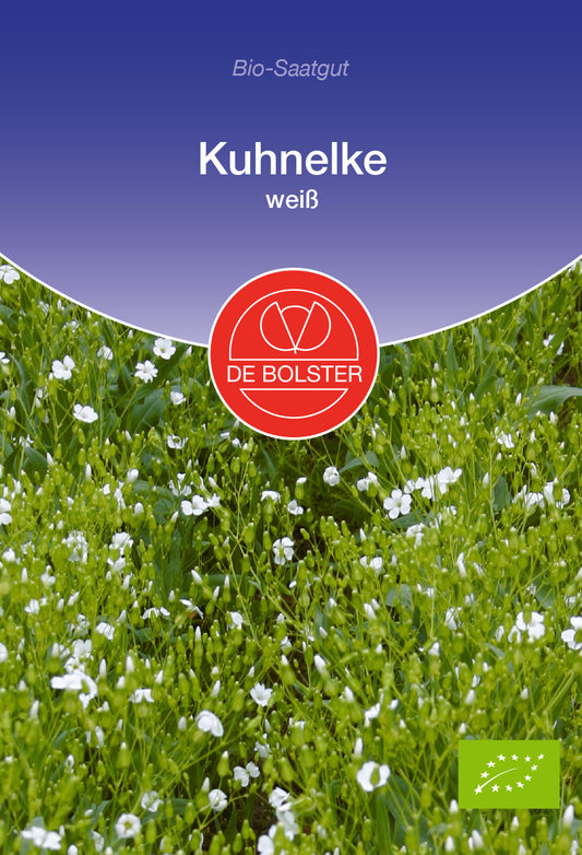 Kuhnelke weiß | BIO Blumensamen von De Bolster
