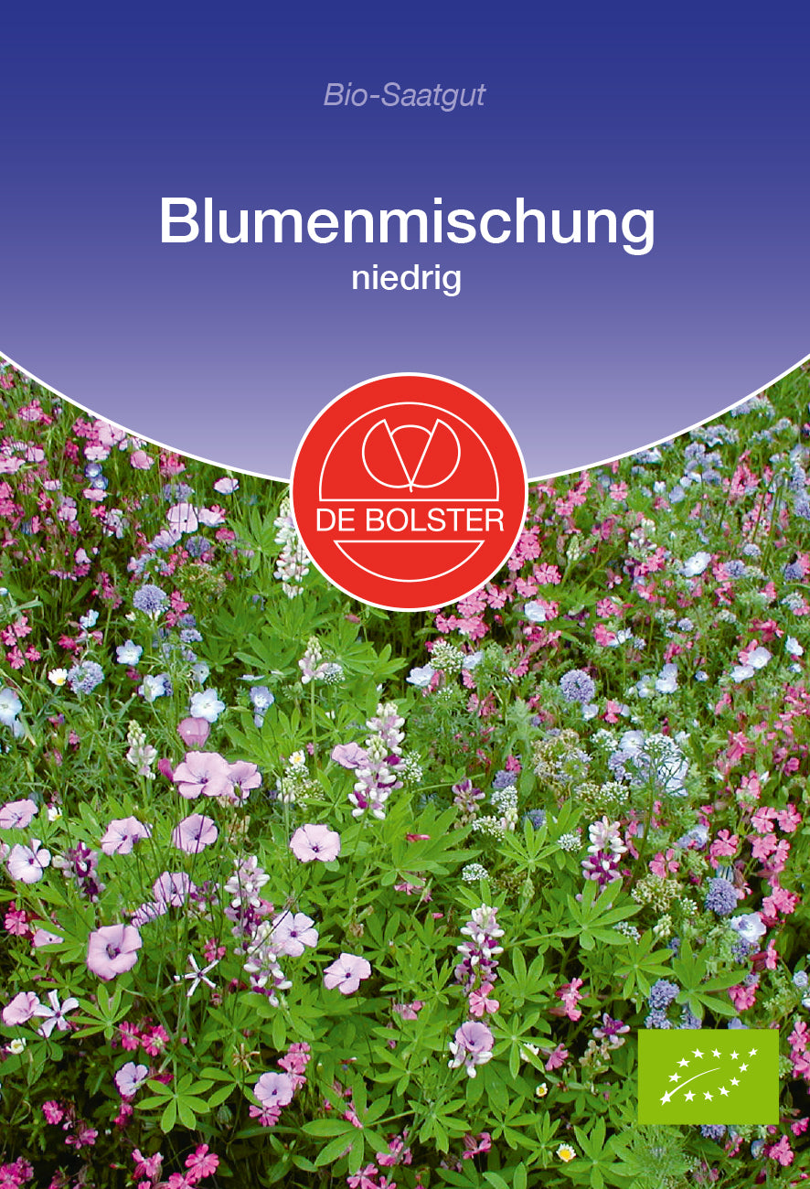 Blumenmischung niedrig | BIO Blumensamen von De Bolster [MHD 12/2023]