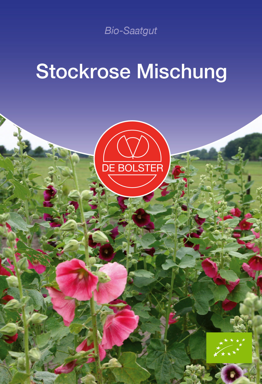 Stockrose Mischung | BIO Stockrosensamen von De Bolster