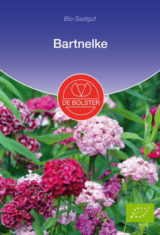 Bartnelke | BIO Nelkensamen von De Bolster [MHD 12/2023]