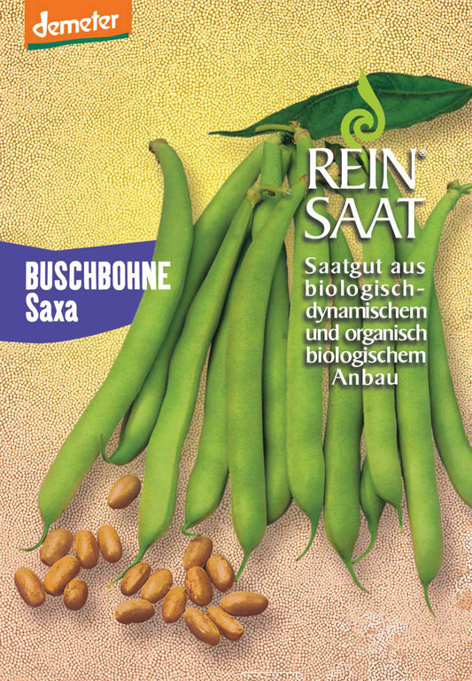 Buschbohne Saxa | BIO Buschbohnensamen von Reinsaat