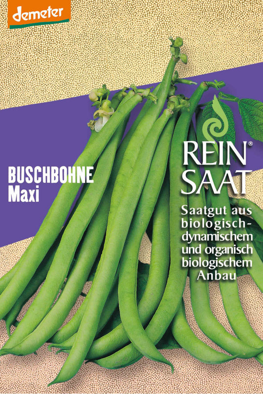 Buschbohne Maxi | BIO Buschbohnensamen von Reinsaat [MHD 12/2023]