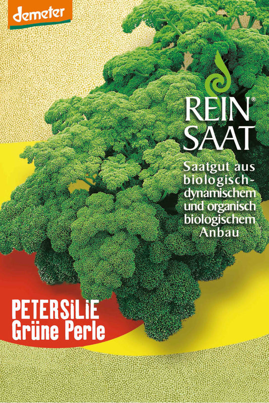 Petersilie Grüne Perle | BIO Petersiliensamen von Reinsaat