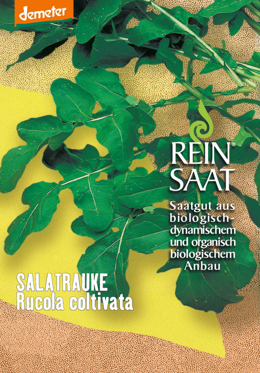Salatrauke Rucola coltivata | BIO Raukesamen von Reinsaat [MHD 12/2023]