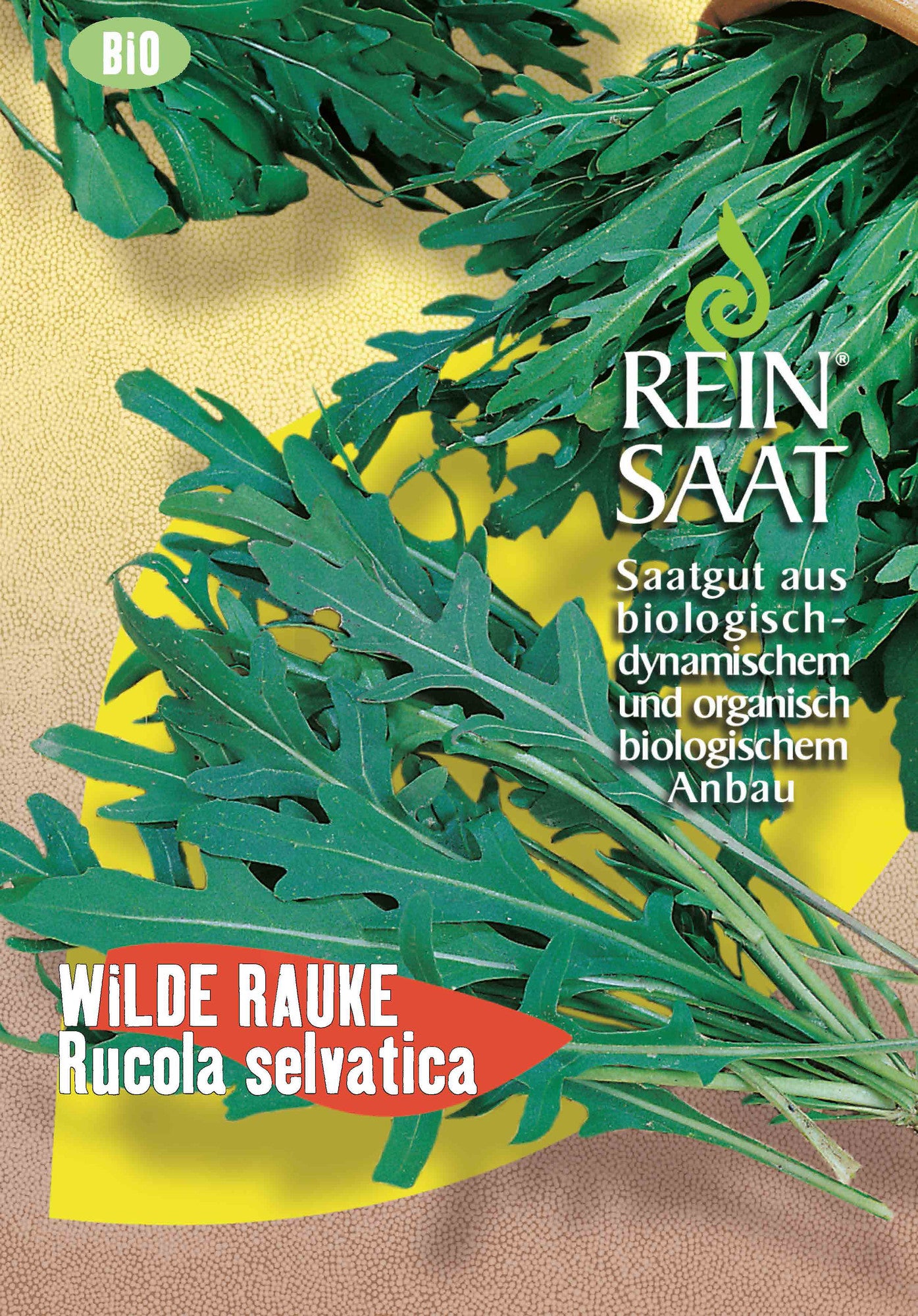 Wilde Rauke Rucola selvatica | BIO Raukesamen von Reinsaat